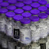 Covid-19: novo lote com 936 mil doses da vacina Pfizer chega ao Brasil