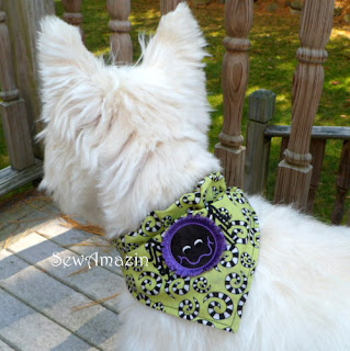 Hairy Spider Bandana style collar cover