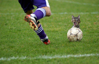 Gran chiste sobre Mundial de Futbol