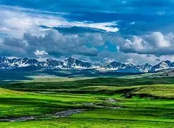 Deosai Plains with a cloudy sky featuring a wide, open landscape with grassy fields and distant, snow-capped mountains..