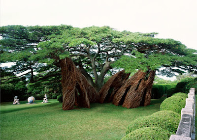 patrick dougherty