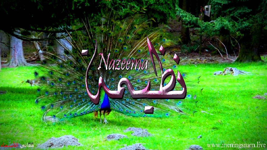 معنى اسم, نظيمة, وصفات, حاملة, هذا الاسم, Nazeema,