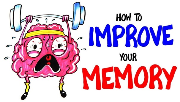 Activities To Improve Memory