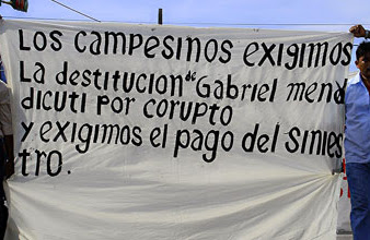 “Mendicuti corrupto”; campesinos piden destitución del titular de SEDARI; marchan por pago de hectáreas siniestradas