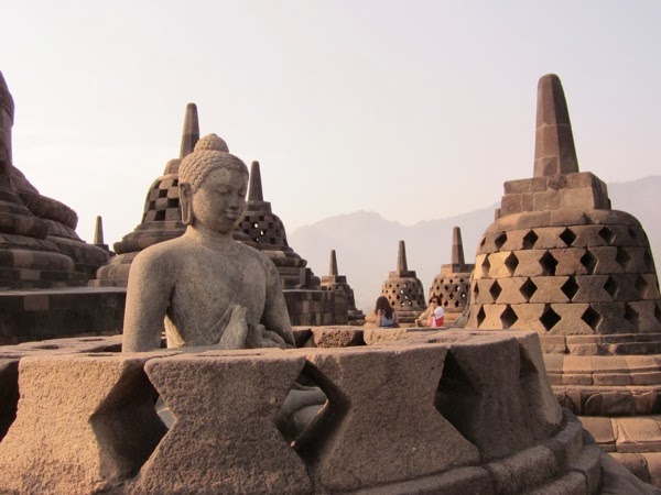 IMG 4549