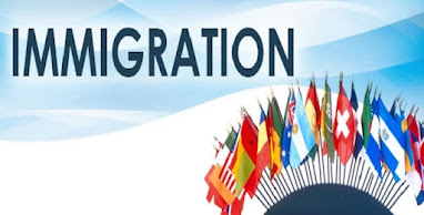 Immigration consultant