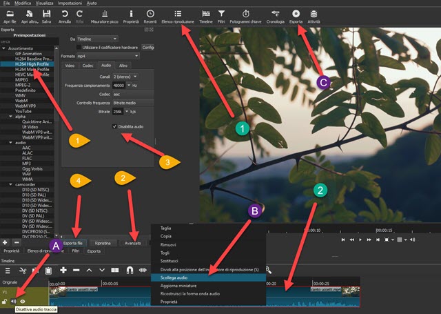 interfaccia di shotcut per togliere audio ai video