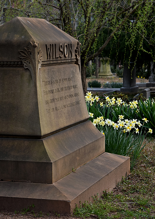 Daffodil Days at Oakland Cemetery | Photo: Travis Swann Taylor