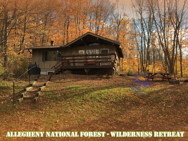 Allegheny National Forest - Wilderness Retreat