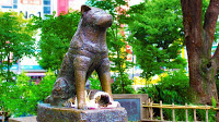 Statue of th Akita Breed Hachiko