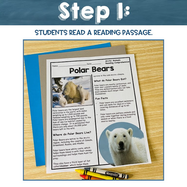 Polar Bear Reading Comprehension Coloring Worksheets