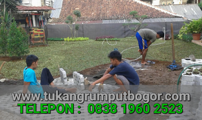 www.tukangrumputbogor.com