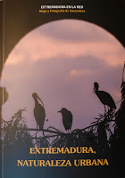 Naturaleza, Extremadura, Relatos, Narrativa, Salomé Guadalupe Ingelmo