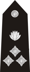 Deputy Inspector General (DIG):