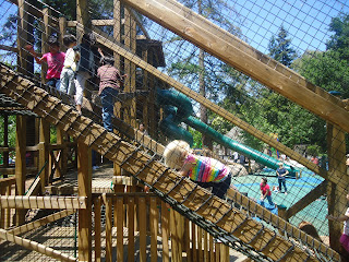 Aria climbing to the top of the play structure
