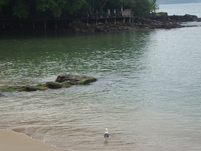 Praia do Canto - Balneário Camboriú - SC