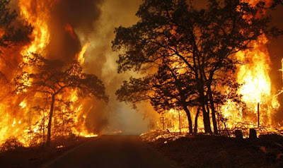 BAHTSUL MASA'IL : Islam Melarang Pembakaran Hutan