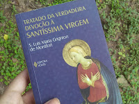 Livro Tratado Da Verdadeira Devoção A Santíssima Pdf