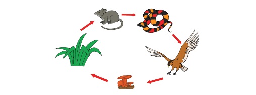 tema-5-kelas-5-subtema-2