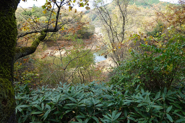 鳥取県西伯郡南部町下中谷 緑水湖 遊歩道からの眺望