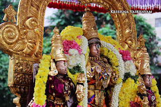 Purattasi,purappadu,Thiruvallikeni, Sri Narasimha Swamy, Theliya singar Perumal, Temple, 2017, Video, Divya Prabhandam,Utsavam,