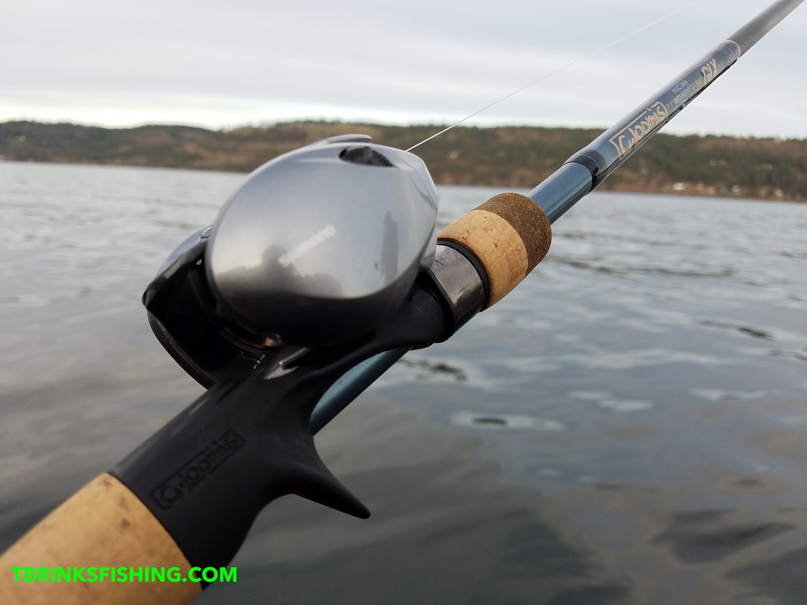 T Brinks Fishing: A Review of the New G. Loomis GLX