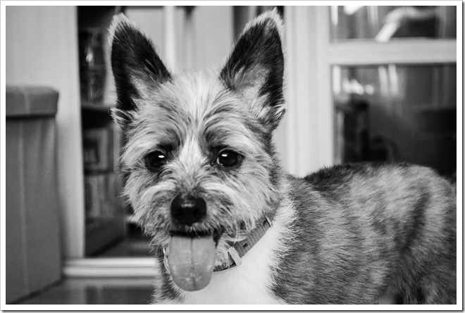 DSC_9105_filtered