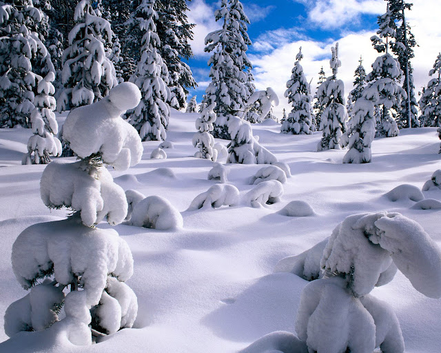 Hermoso Invierno - Beautifull Winter