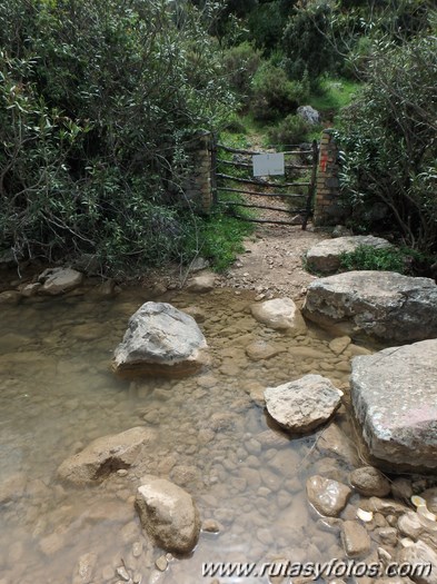 Barranco del Arroyo del Pajaruco