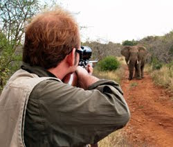 African Elephant Hunting