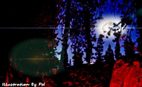 Campers Encounter Ufo At Ground Level