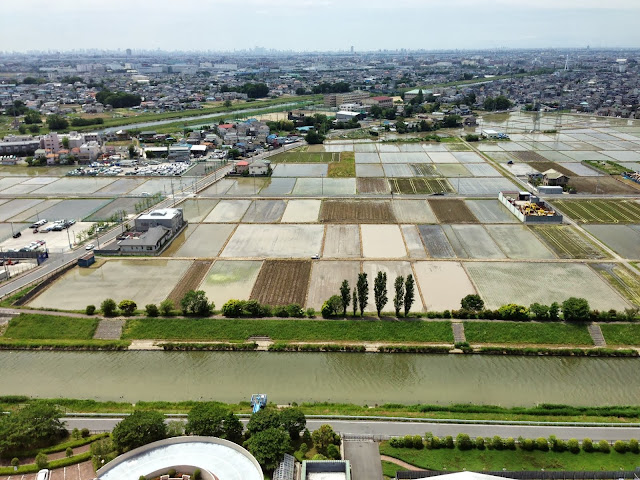 こしがや田んぼアート2013ウルトラマン（田植え前）