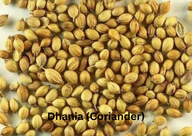 Dhania(Coriander), Indian spices