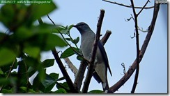 20150917_160213_254_YehLiu