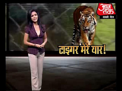 World News Headlines on Best Channel For Breaking News From India  Latest Hindi News Headlines