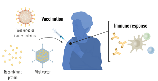 Vaccination strategy before the COVID19 pandemic