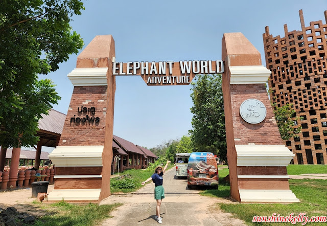 Surin Elephant Village, Surin Elephant World, Largest Elephant World, Largest Elephant Conservation, Amazing New Chapters, Tourism Thailand, Thailand