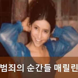 범죄의 순간들 메릴린 갠더트