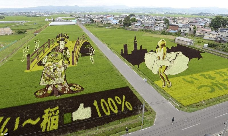 japanese-rice-paddy-art-2