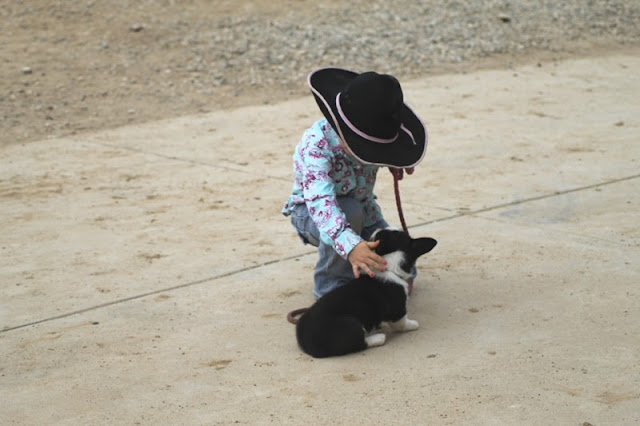 tiny cowgirl with tiny puppy