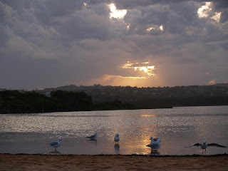 Dee Why Beach