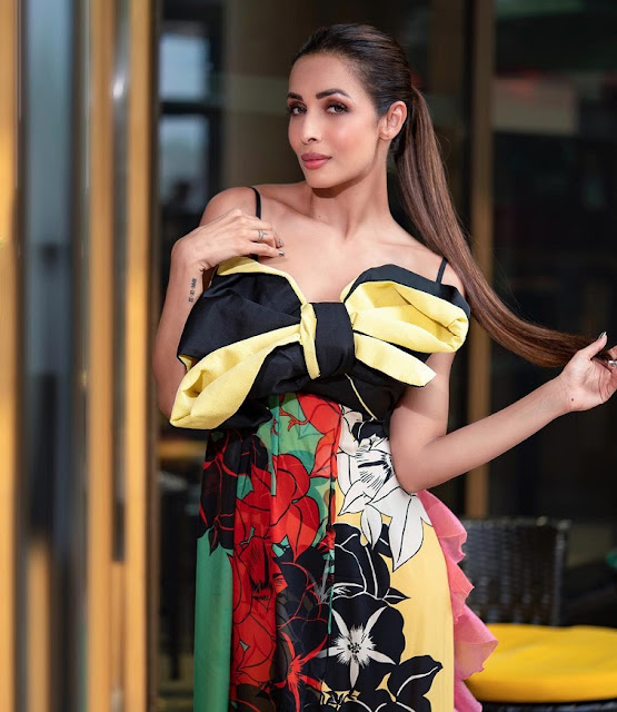 Malaika Arora strikes a stunning pose, showcasing her timeless beauty and sophisticated allure in the latest breathtaking photos.