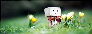 Foto sampul danbo