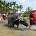 Central of Vietnam Impressing Tour 6Days/5Nights