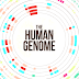 Human Genome Project - Human Genomic Dna