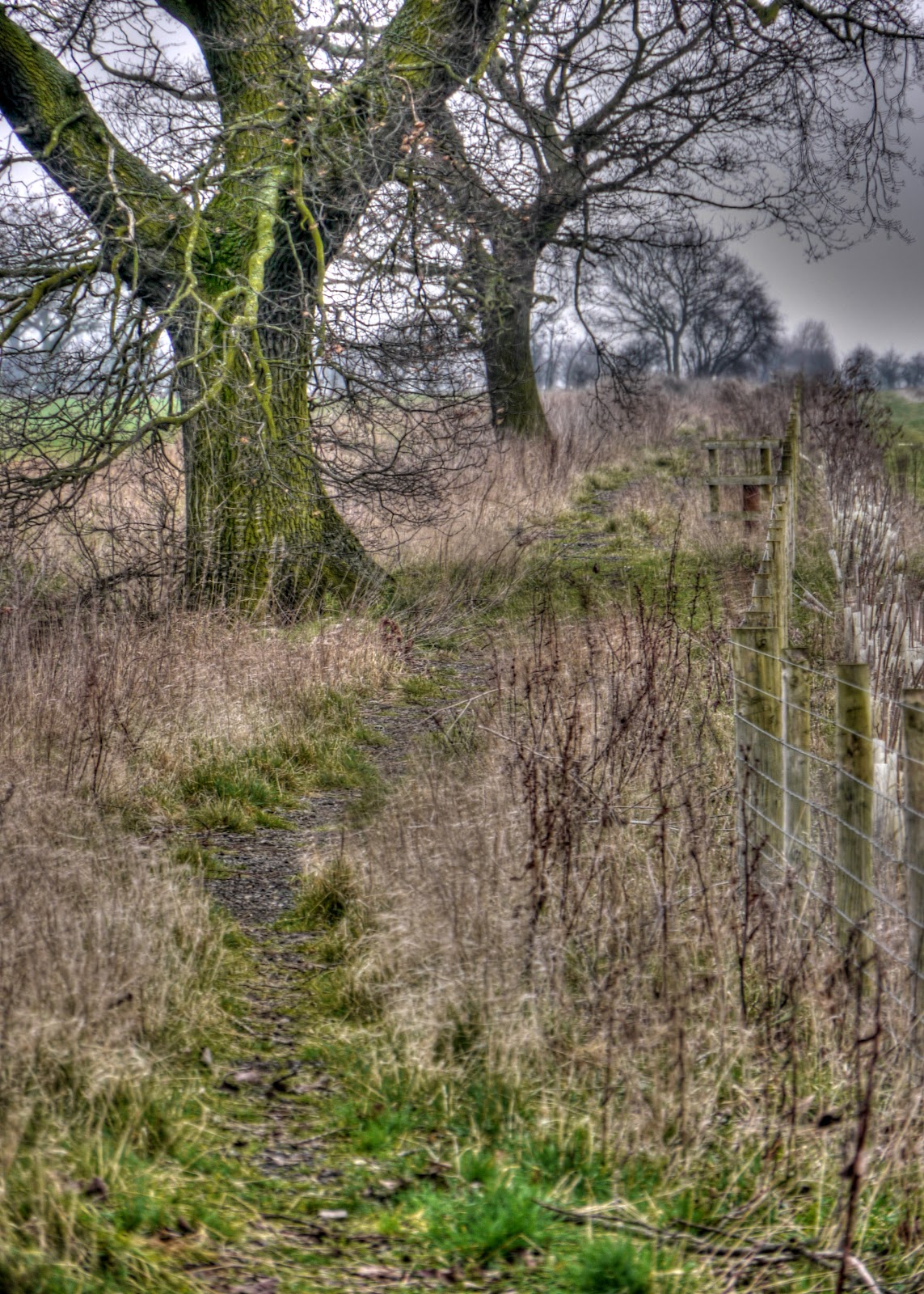P1230064_5_6_tonemapped.jpg