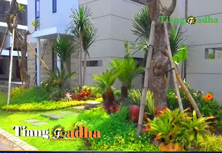 Tukang Taman Solo dan Surakarta