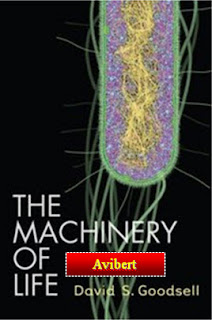 Machinery of Life