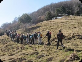 IMG_6548