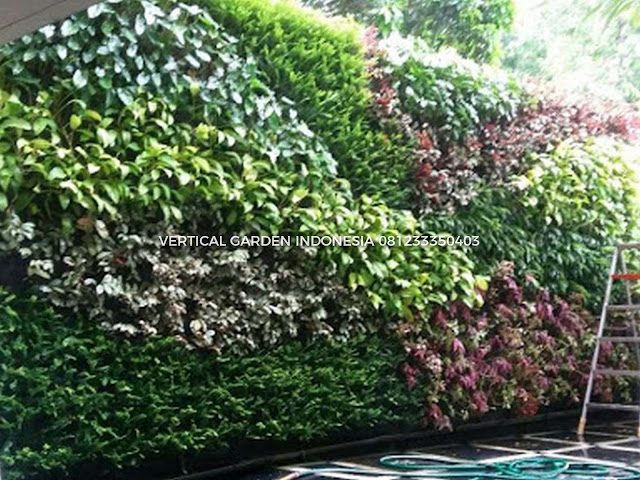 VERTICAL GARDEN INDONESIA SPESIALIS JASA PEMBUATAN VERTICAL GARDEN DI DENPASAR BALI  DAN DI SELURUH WILAYAH DENPASAR BALI  DENGAN TENAGA YANG PROFESIONAL DAN DAPAT DI PERCAYA YANG SELALU MENGUTAMAKAN SEBUAH MUTU DAN KUALITAS PEMASANGAN VERTICAL GARDEN/TAMAN DINDING, JASA TUKANG TAMAN VERTICAL DENPASAR BALI , JASA VERTICAL GARDEN DENPASAR BALI